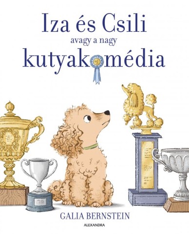 a könyv borítója