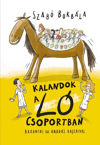 a könyv borítója