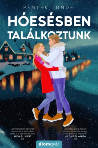 A könyv borítója