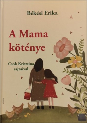 A könyv borítója
