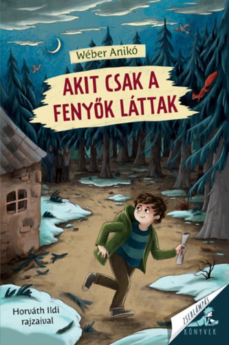 A könyv borítója
