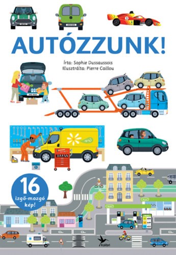 A könyv borítója