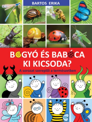 A könyv borítója
