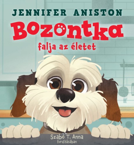 A könyv borítója