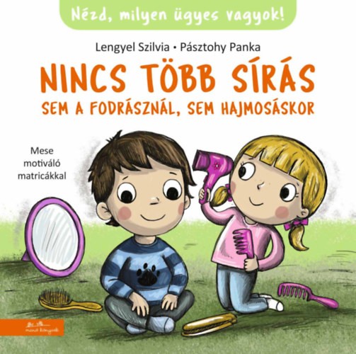 A könyv borítója