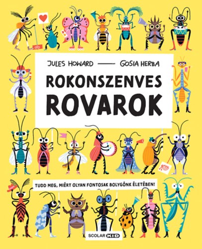 A könyv borítója