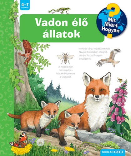 A könyv borítója