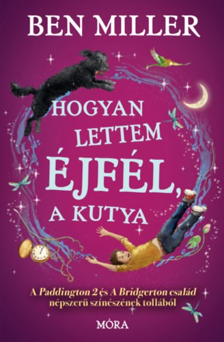 A könyv borítója