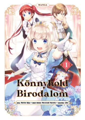 A könyv borítója