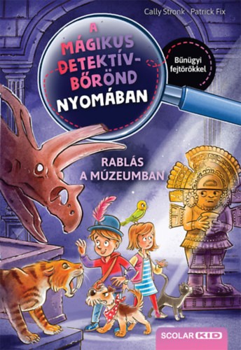 A könyv borítója