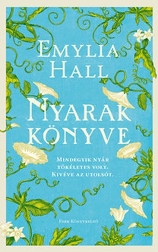 A könyv borítója